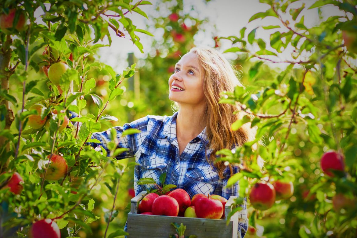 Iată diferențele dintre termenii “bio”, “eco” și “organic”