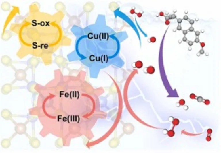 Na + , Al 3+ , Mg 2+ , Fe 3+