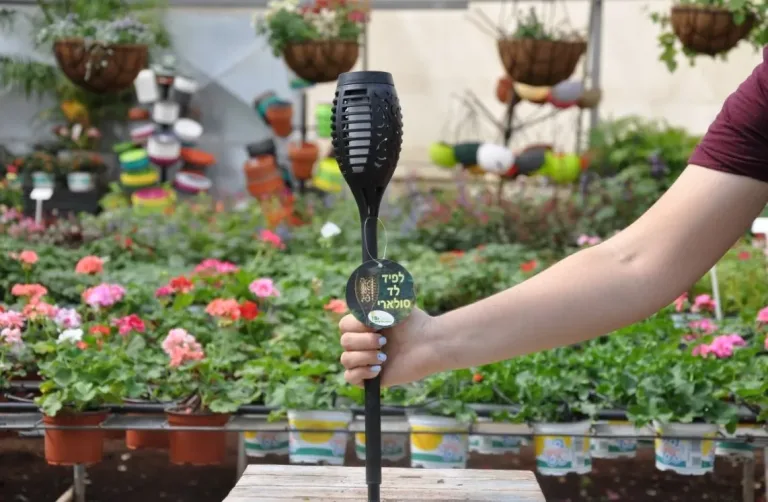 Proiecte DIY pentru o Casă Verde