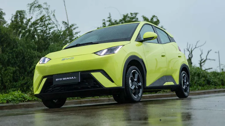 Seagull BYD 2025