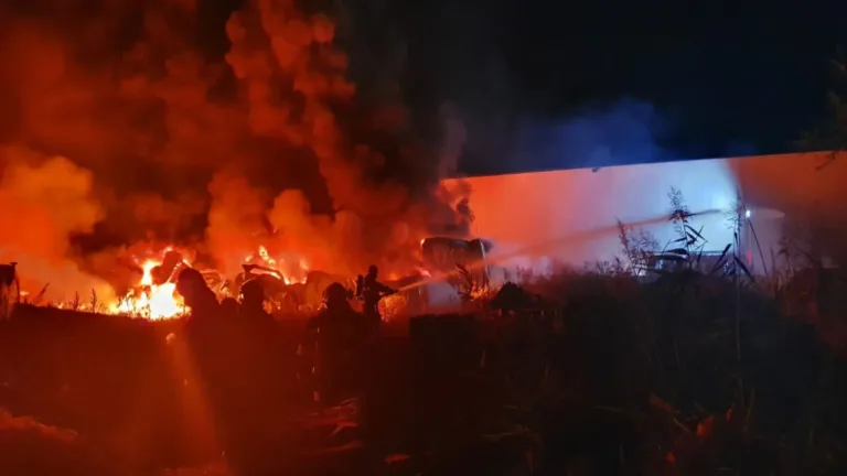 Incendiul de la depozitul Antefrig București